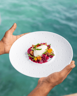A CULINARY JOURNEY