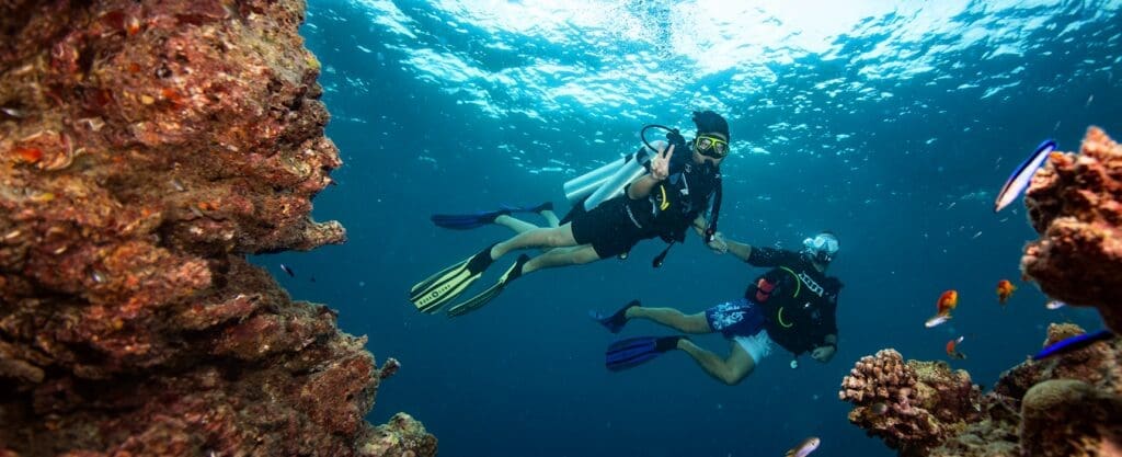 Diver 2