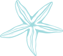 Vector 2