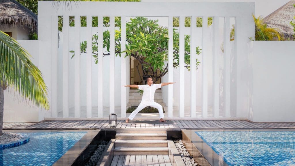 Wellness 2 3 1